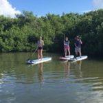 AMI Paddle boards